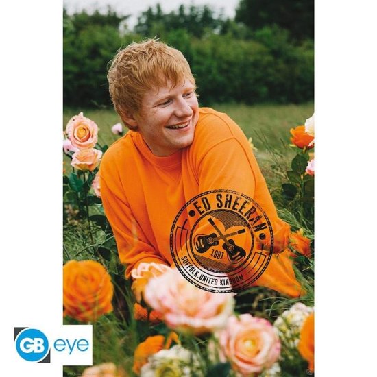 GB eye Ed Sheeran Plakát Maxi: Rose Field 91,5 x 61 cm