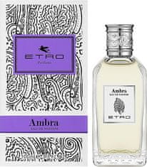 Etro Ambra - EDT 100 ml