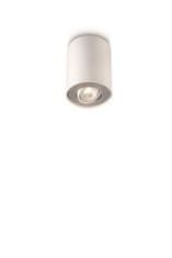 Philips Philips PILLAR SVÍTIDLO BODOVÉ 1x50W 230V 56330/31/PN