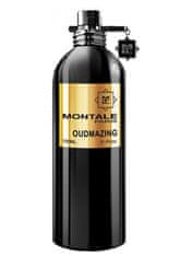 Montale Paris Oudmazing - EDP 100 ml