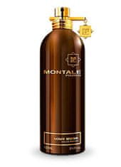 Montale Paris Aoud Musk - EDP 2 ml - vzorek s rozprašovačem