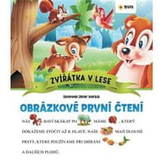 Obrázkové první čtení - Zvířátka v lese