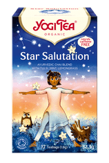 LIFEFIT Čaj Yogi Tea Star Salutation (17X1,9G)