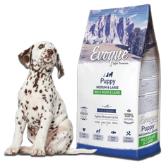 4DOGS Próbka Evoque Puppy Dziczyzna Z Jagnięciną M&L Super Premium 60G