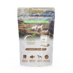 4DOGS Próbka Evoque Adult Mini Dziczyzna Z Jagnięciną Super Premium 60G