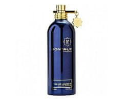 Montale Paris Blue Amber - EDP - TESTER 100 ml