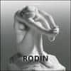 Daniel Kiecol: Rodin