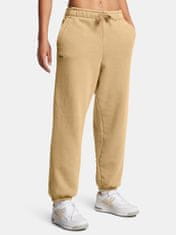 Under Armour Dámské kalhoty Under Armour UA Icon HWT Flc OS Pant-BRN M