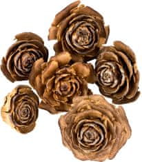 Dekorace - Cedar rose 3-5 cm 6 ks