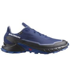 Salomon boty Alphacross 5 Gore-tex 473092