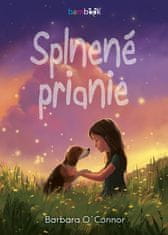 Barbara O´Connor: Splnené prianie