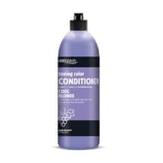 shumee Prosalon Prosalon Toning Color Conditioner tónovací kondicionér pro odbarvené a šedivé blond vlasy 500g