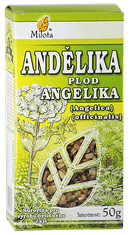 Milota Andělika lékařská plod 50g