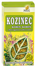 Milota Kozinec sladkolistý kořen (astragalus) 50g