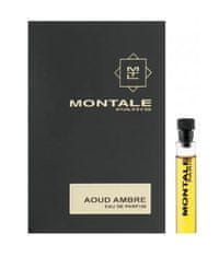 Montale Paris Aoud Ambre - EDP 2 ml - vzorek s rozprašovačem