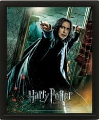 Grooters Zarámovaný 3D obraz Harry Potter - Snape