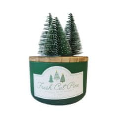 DW home Fresh Cut Pine