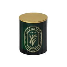 DW home Evergreen Balsam