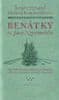 Vojtěch Pokorný: Benátky sv. Jana Nepomuckého - Průvodce památkami českého světce a historie vztahů s Prahou