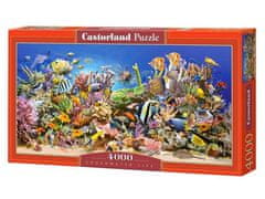 Castorland Puzzle - Podvodní život 4000 dílkú