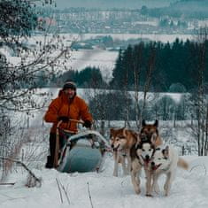 Allegria mushing - jízda se psím spřežením