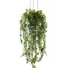 Home&Styling Umělá rostlina SENECIO, závěsná, 60 cm