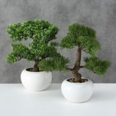 Dekorstyle Bonsai v bílém květináči 33 cm