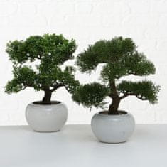 Dekorstyle Bonsai v bílém květináči 33 cm