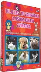 Tu je les tu zahrádka - DVD