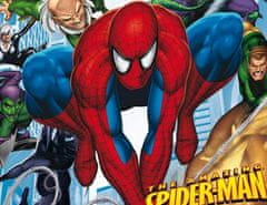 Puzzle Spiderman - PUZZLE s 3D efektem