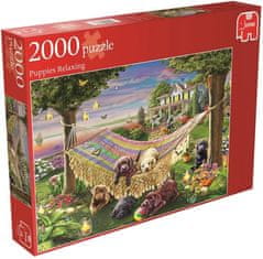 Puzzle Odpočívání štěňátek