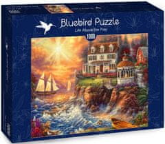 Blue Bird Puzzle Život na útesu