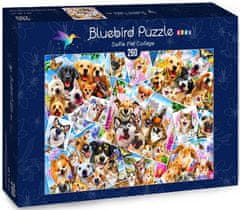 Blue Bird Puzzle Zvířecí selfie - DĚTSKÉ PUZZLE