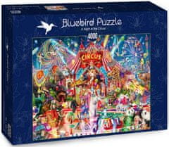 Blue Bird Puzzle Noční cirkus