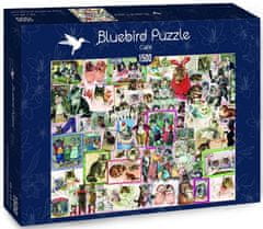 Blue Bird Puzzle Kočky