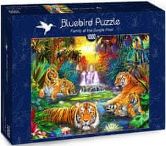 Blue Bird Puzzle Tygří rodinka