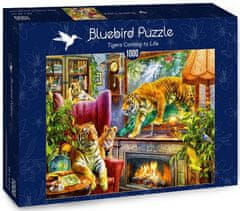 Blue Bird Puzzle Živý obraz - tygři