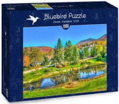 Blue Bird Puzzle Vermont, USA