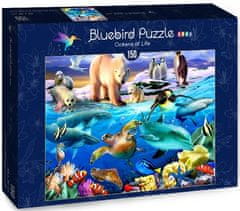 Blue Bird Puzzle Život v oceánu - DĚTSKÉ PUZZLE