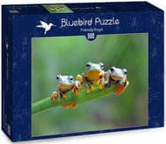 Blue Bird Puzzle Žabky