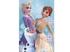 Exity Dětská deka Ledové království Anna, Elsa a Olaf