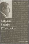 Karol Efraim Sidon: Labyrint / Shapira / Třináct oken - hry