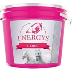 Pamlsky pro koně Energys Love, jablko 2 kg