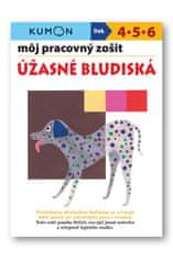 Toshihiki Karakido: Môj pracovný zošit Úžasné bludiská