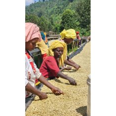 COFFEEDREAM Káva ETIOPIE GUJI DENBI UDDO - Gramáž: 1000g, Typ kávy: Zrnková, Způsob balení: běžný třívrstvý sáček