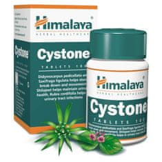 Himalaya Himalaya Cystone 100 tablet BI5657