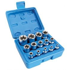 ASTA Nástrčné klíče, E-Torx, E4 - E24, 1/4", 3/8'', 1/2'', 14 ks - S-P14ES