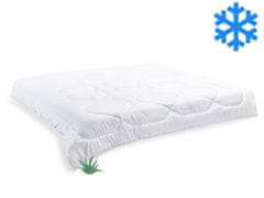 Brotex Francouzská přikrývka Aloe Vera zimní 200x200cm 1800g