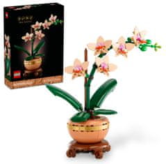 LEGO Botanicals 10343 Miniaturní orchidej