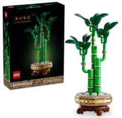 LEGO Botanicals 10344 Bambus štěstí